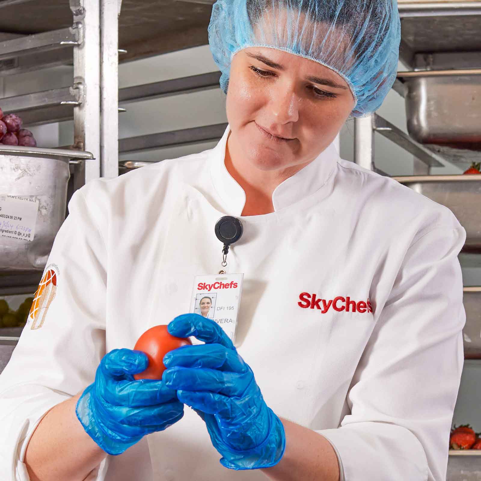 SkyChefs Careers and Jobs - food safety inspector